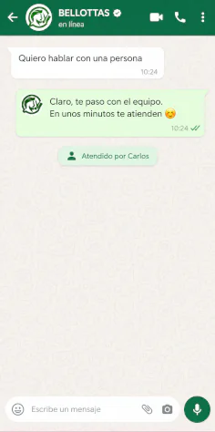 Vista de ejemplo de Bellottas, solo ilustrativa